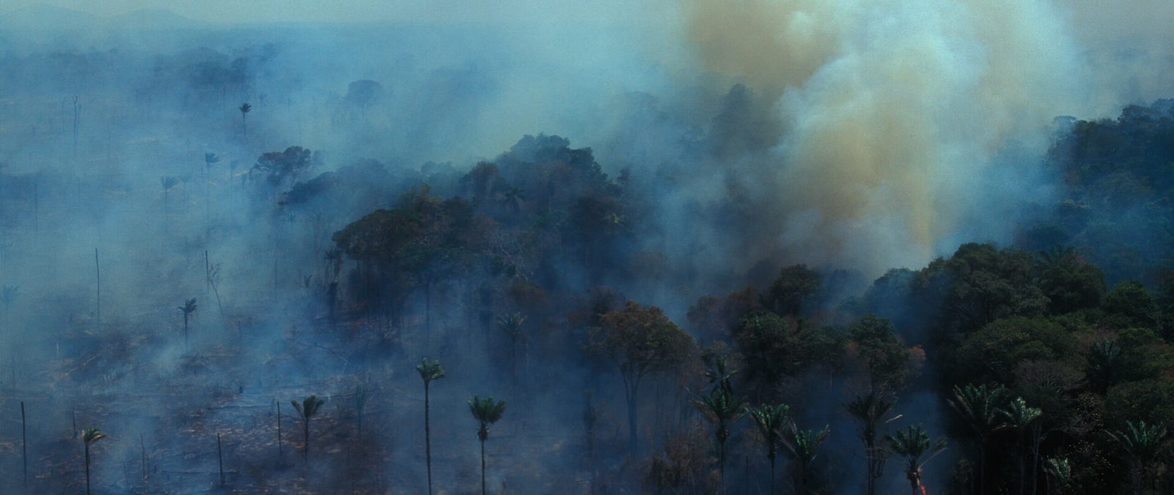 csm_igrape_9f1e152db1